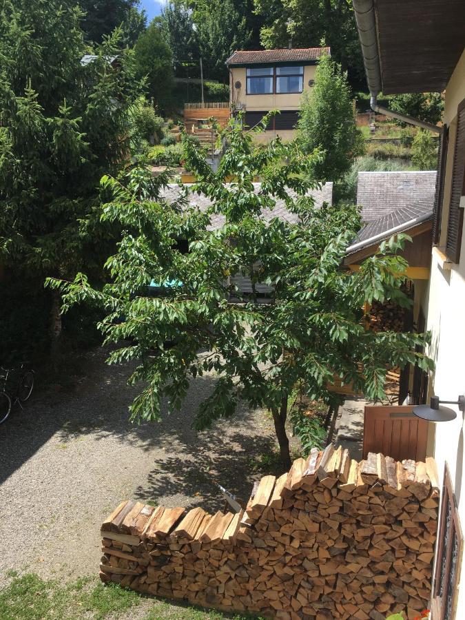 Charmant Appartement Sur Cour, Le Cerisier Bagnères-de-Bigorre Buitenkant foto