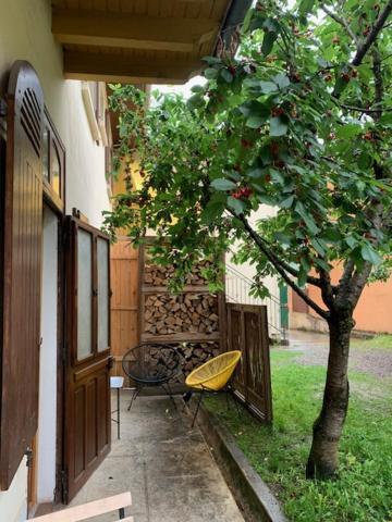 Charmant Appartement Sur Cour, Le Cerisier Bagnères-de-Bigorre Buitenkant foto