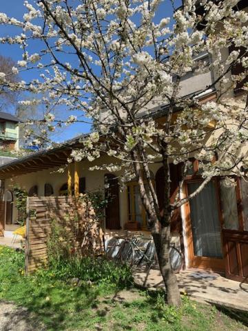 Charmant Appartement Sur Cour, Le Cerisier Bagnères-de-Bigorre Buitenkant foto